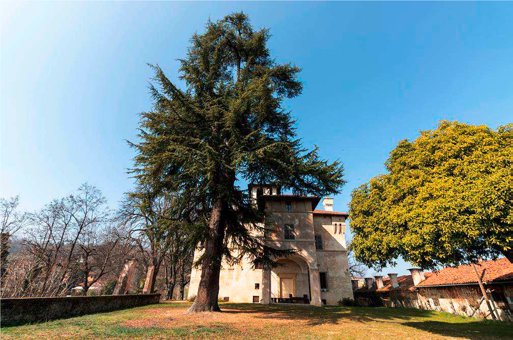 “BELVEDERE RADICATI, uno spazio aperto, pubblico, tra arte e natura”(CN)